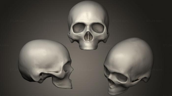 Анатомия скелеты и черепа (Металлический Череп, ANTM_0895) 3D модель для ЧПУ станка